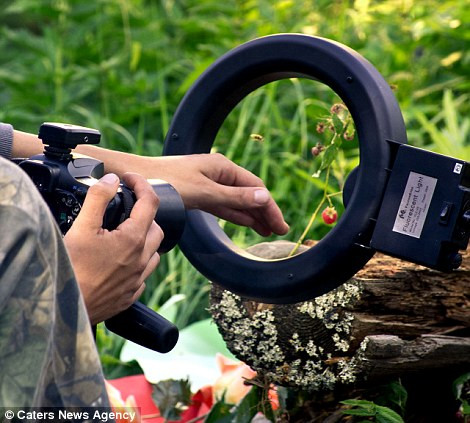 Irina phải chờ đến nửa giờ để chộp những những bức hình hoàn hảo