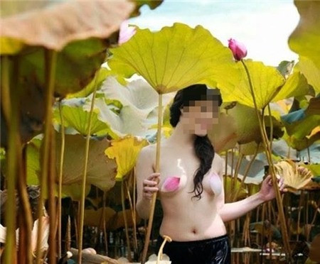 Đừng làm ô uế vẻ đẹp của sen