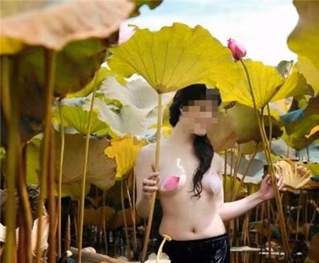 Đừng làm ô uế vẻ đẹp của sen