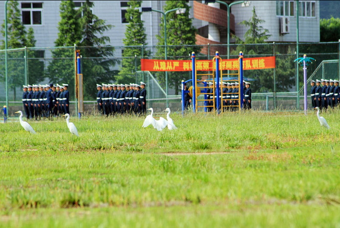 Trụ sở của hạm đội đặt tại Thanh Đảo. Thẩm quyền của hạm đội là khu vực Bột Hải và Hoàng Hải từ tỉnh Tế Nam trở về phía bắc. Trụ sở của hạm đội đặt tại Thanh Đảo. Thẩm quyền của hạm đội là khu vực Bột Hải và Hoàng Hải từ tỉnh Tế Nam trở về phía bắc.