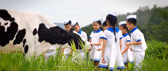 Bài Mai Kiều Liên chia sẻ: "...khát vọng sữa Việt đi khắp năm châu luôn thôi thúc Vinamilk tiếp tục lao động sáng tạo và phấn đấu trong suốt 40 năm qua”.