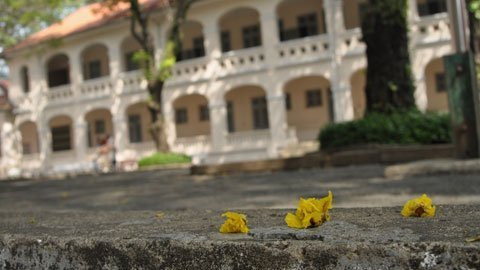 Với trên 3/4 thế kỷ thành lập. Trường Chuyên Lê Hồng Phong là 1 trong 3 trường THPT lâu đời nhất Tp.HCM. Với trên 3/4 thế kỷ thành lập. Trường Chuyên Lê Hồng Phong là 1 trong 3 trường THPT lâu đời nhất Tp.HCM.