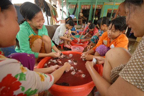 Ông Trần Thanh Tuấn, Phó Chủ tịch UBND thị trấn Long Bình, huyện An Phú, An Giang, cho biết: "Thời gian gần đây chuột Campuchia về nhiều quá khiến chúng tôi rất lo. Chuột là loài sinh sản nhanh, nếu không may một lồng chuột vài trăm con sổ lồng thì tai hại vô cùng".