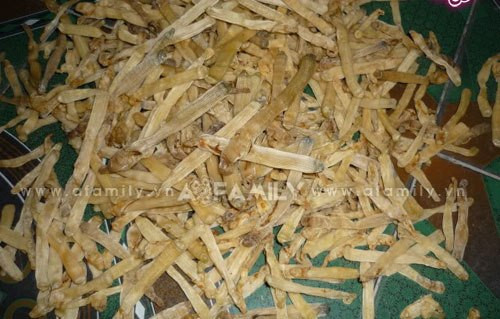 Sá Sùng ở vùng Quan Lạn - Quảng Ninh.