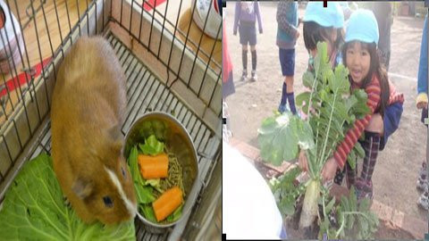 Bé tập làm nghề nông