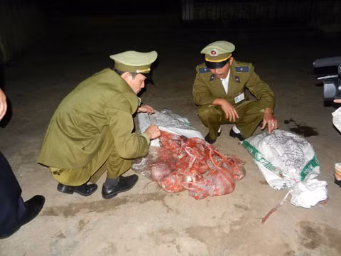 Số thịt thối thu giữ được.