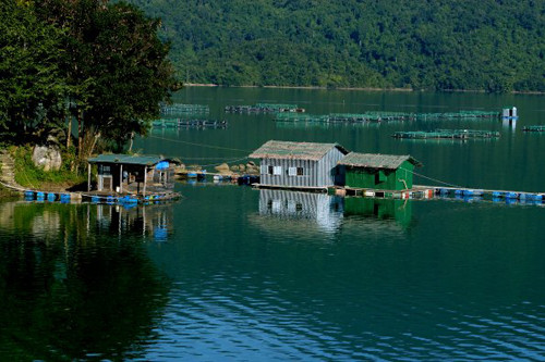 Điều kiện lý tưởng để nuôi cá tầm là môi trường nước lạnh từ 18-27 độ C, sạch sẽ, có lượng ô xy hòa tan cao.