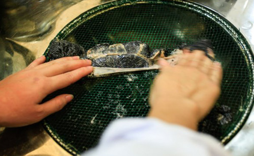 Buồng trứng sẽ được chà xát nhẹ trên một chiếc thau kim loại có tấm lưới mắt cáo nhỏ bên trên để loại bỏ nhớt và máu.