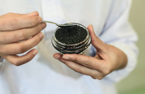 Quá trình được làm tỉ mỉ hoàn toàn bằng tay. Tùy vào chất lượng mà trứng cá tầm có giá khoảng 2.000-2.500 USD một kg, loại hảo hạng có thể lên đến vài trăm nghìn USD một kg.