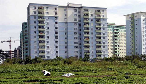 Ảnh minh họa. Ảnh minh họa.