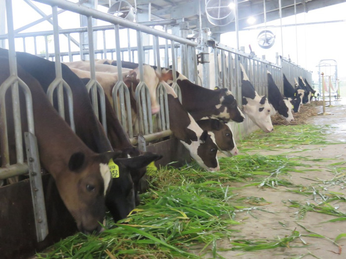 FrielslandCampina Việt Nam nhận bằng khen của Thủ tướng Chính phủ ảnh 2 FrielslandCampina Việt Nam nhận bằng khen của Thủ tướng Chính phủ ảnh 2