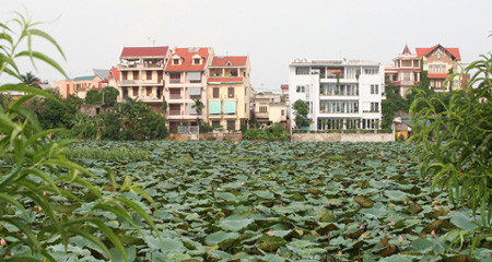 Ảnh minh họa. Ảnh minh họa.