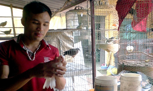 Anh Phúc chăm sóc những chú chim trong trang trại. Anh Phúc chăm sóc những chú chim trong trang trại.