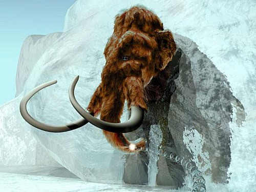 Voi ma mút sẽ hồi sinh nhờ công nghệ nhân bản vô tính? ảnh 3