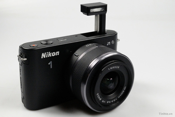 Đèn flash cóc rất dễ thương