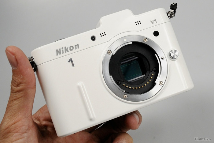 Cảm biến khá nhỏ