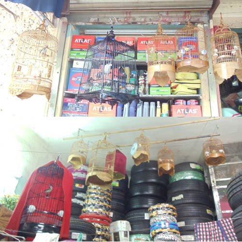 Lồng chim cảnh trong cửa hàng của anh Tú Lồng chim cảnh trong cửa hàng của anh Tú