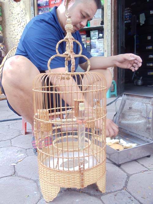 Lồng chim tinh xảo trị giá 20 triệu đồng của anh Tú Lồng chim tinh xảo trị giá 20 triệu đồng của anh Tú