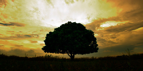 Dù là sáng hay chiều, nơi đây cũng khá hấp dẫn các bạn trẻ bởi một phong cảnh hữu tình. Dù là sáng hay chiều, nơi đây cũng khá hấp dẫn các bạn trẻ bởi một phong cảnh hữu tình.