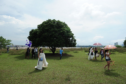 Ở đây có những bãi cỏ rộng thênh thang. Cặp đôi nào muốn tới chụp ảnh sẽ trả cho chủ vườn nhãn 50.000 đồng. Ở đây có những bãi cỏ rộng thênh thang. Cặp đôi nào muốn tới chụp ảnh sẽ trả cho chủ vườn nhãn 50.000 đồng.