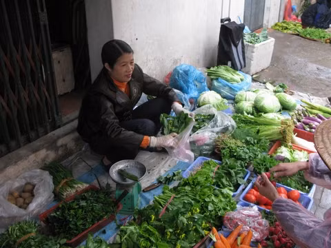 Chỉ nên mua những loại rau củ quả đúng mùa để tránh mua phải hàng Trung Quốc