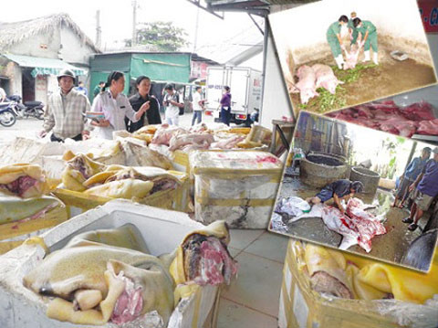 Lô hàng thịt lợn rừng giả được vận chuyển vào TP.Hồ Chí Minh tiêu thụ bị các lực lượng chức năng thu giữ Lô hàng thịt lợn rừng giả được vận chuyển vào TP.Hồ Chí Minh tiêu thụ bị các lực lượng chức năng thu giữ