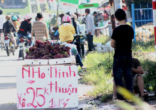 Sau khi bị lật tẩy "nho Mỹ" có xuất xứ từ Trung Quốc, những người bán dạo dọc trên xa lộ Hà Nội lại "hô biến" thành nho Ninh Thuận nhưng giá vẫn không thay đổi Sau khi bị lật tẩy "nho Mỹ" có xuất xứ từ Trung Quốc, những người bán dạo dọc trên xa lộ Hà Nội lại "hô biến" thành nho Ninh Thuận nhưng giá vẫn không thay đổi