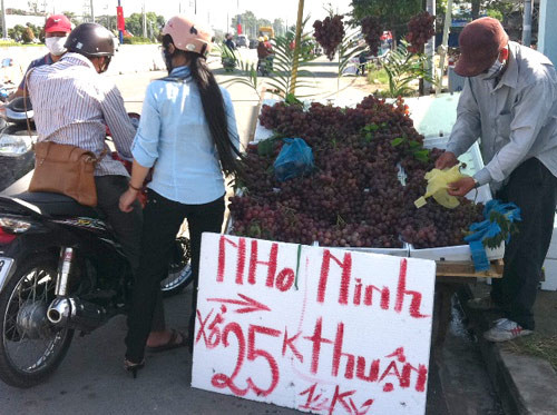 Sáng 2/9, nhiều người đi chơi lễ tấp nập trên Xa lộ Hà Nội dừng lại dọc đường để mua “nho Ninh Thuận” với giá từ 20.000 đến 25.000 đồng/nửa kg. Sáng 2/9, nhiều người đi chơi lễ tấp nập trên Xa lộ Hà Nội dừng lại dọc đường để mua “nho Ninh Thuận” với giá từ 20.000 đến 25.000 đồng/nửa kg.