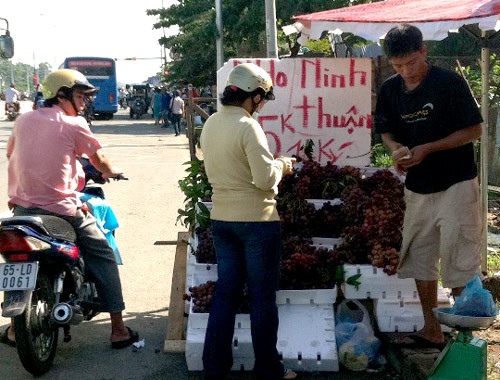 Lợi nhuận hàng triệu đồng mỗi ngày nên người bán không ngần ngại tìm mọi cách đánh lừa người tiêu dùng Lợi nhuận hàng triệu đồng mỗi ngày nên người bán không ngần ngại tìm mọi cách đánh lừa người tiêu dùng