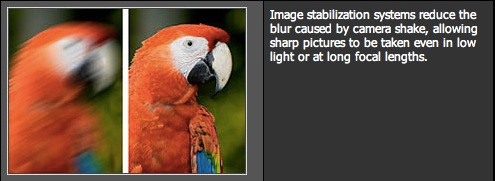 Chống rung hình ảnh: Hình ảnh trở nên bị rung khi chụp tele nếu không có cơ chế ổn định Ổn định hình ảnh đang ngày càng trở nên quan trọng trong những hệ thống máy ảnh nhưng các nhà sản xuất lại sử dụng những phương thức khác nhau nhằm hiện thức hóa nó. Trong khi Pentex và Olympus dùng chống rung bằng cách dịch chuyển cảm biến thì Canon, Nikon, Panasonic và Samsung dùng chống rung ống kính. Sony quái chiêu hơn, dùng chống rung cảm biến (Super Steady Shot) cho dòng máy Alpha DSLR nhưng lại dùng chống rung ống kính (Optical Steady Shot) cho các hệ máy Alpha NEX. Chống rung quang học cực kỳ hữu ích khi chụp ảnh với ống kính tele. Dưới đây là tên 1 số công nghệ mà các hãng sử dụng, tác dụng của chúng không khác nhau nhiều: Canon - Image Stabilization (IS) Nikon - Vibration Reduction (VR) Panasonic và Samsung - Optical Image Stabilization (OIS) Sony (máy Alpha) - Super Steady Shot. (SSS) Sony (máy Nex) - Optical Steady Shot (OSS) Sigma - Optical Stabilization (OS) Tamron - Vibration Control (VC) Chống rung hình ảnh: Hình ảnh trở nên bị rung khi chụp tele nếu không có cơ chế ổn định Ổn định hình ảnh đang ngày càng trở nên quan trọng trong những hệ thống máy ảnh nhưng các nhà sản xuất lại sử dụng những phương thức khác nhau nhằm hiện thức hóa nó. Trong khi Pentex và Olympus dùng chống rung bằng cách dịch chuyển cảm biến thì Canon, Nikon, Panasonic và Samsung dùng chống rung ống kính. Sony quái chiêu hơn, dùng chống rung cảm biến (Super Steady Shot) cho dòng máy Alpha DSLR nhưng lại dùng chống rung ống kính (Optical Steady Shot) cho các hệ máy Alpha NEX. Chống rung quang học cực kỳ hữu ích khi chụp ảnh với ống kính tele. Dưới đây là tên 1 số công nghệ mà các hãng sử dụng, tác dụng của chúng không khác nhau nhiều: Canon - Image Stabilization (IS) Nikon - Vibration Reduction (VR) Panasonic và Samsung - Optical Image Stabilization (OIS) Sony (máy Alpha) - Super Steady Shot. (SSS) Sony (máy Nex) - Optical Steady Shot (OSS) Sigma - Optical Stabilization (OS) Tamron - Vibration Control (VC)