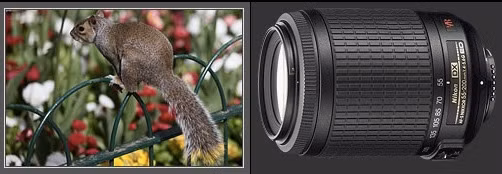 Ống zoom xa: Sau khi mua các ống zoom cơ bản thì chúng ta chuyển sang các ống zoom tầm xa, chẳng hạn như 55-200mm F4.5-5.6 hay 75-300mm F4-5.6.. Các ống kính này thích hợp cho chụp thể thao, động vật hay trẻ em từ xa. Ống zoom xa: Sau khi mua các ống zoom cơ bản thì chúng ta chuyển sang các ống zoom tầm xa, chẳng hạn như 55-200mm F4.5-5.6 hay 75-300mm F4-5.6.. Các ống kính này thích hợp cho chụp thể thao, động vật hay trẻ em từ xa.