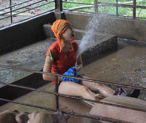 Đinh Ngọc Diệp bỏ showbiz về quê chăn lợn. Và cô không ngần ngại "ngồi giữa chuồng heo bẩn thỉu, nhếch nhác