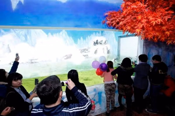 Du khách thích thú khi lần đầu tiên được nhìn thấy những chú chim cánh cụt "bằng xương bằng thịt" tại Thủy cung.