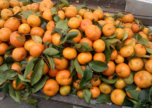 Quýt Trung Quốc giá rẻ bán đầy chợ có dư lượng hóa chất quá mức cho phép. Quýt Trung Quốc giá rẻ bán đầy chợ có dư lượng hóa chất quá mức cho phép.