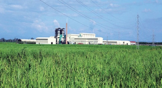 Khu công nghiệp mía đường của Hoàng Anh Gia Lai tỉnh Attapeu – Lào.