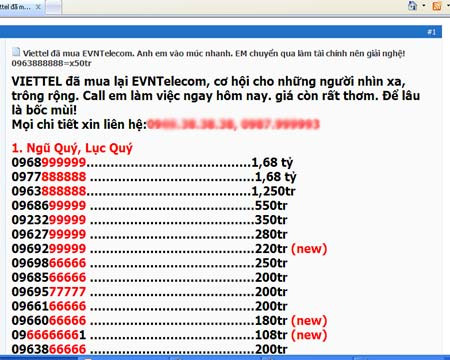 Giá nhiều chiếc sim EVN có giá lên đến gần 1,7 tỷ đồng.