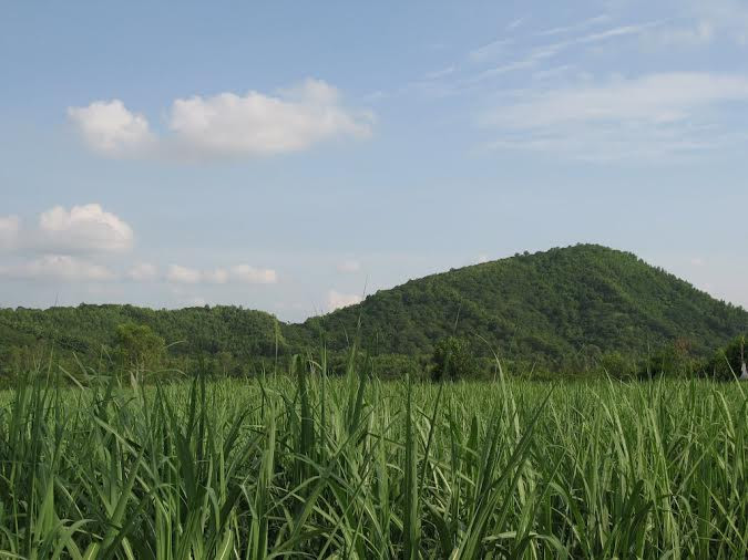 Việc 2 đơn vị cùng tham gia đầu tư vào lĩnh vực nông nghiệp của tỉnh một lần nữa cho thấy sức hấp dẫn đầu tư của ThanHóa với các nhà đầu tư lớn trong nước. Việc 2 đơn vị cùng tham gia đầu tư vào lĩnh vực nông nghiệp của tỉnh một lần nữa cho thấy sức hấp dẫn đầu tư của ThanHóa với các nhà đầu tư lớn trong nước.