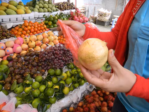 Chất bảo quản nho, mận, lựu Trung Quốc có thể gây vô sinh