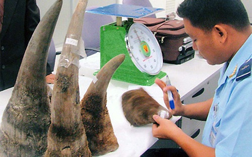 Đối tượng nước ngoài đánh vào đúng nhu cầu về sừng tê giác của người châu Á trong thời gian qua.