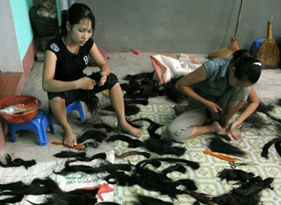 Phân loại tóc trước khi đánh hàng. Phân loại tóc trước khi đánh hàng.