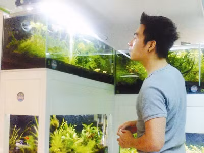 Chăm sóc tép cảnh