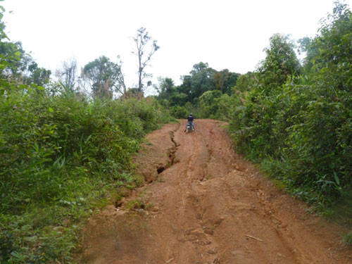 Đường dẫn vào vương quốc sâm Ngọc Linh Đường dẫn vào vương quốc sâm Ngọc Linh