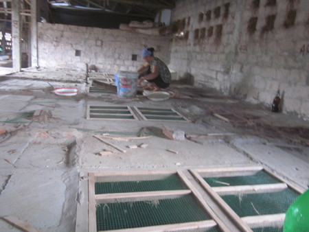 Rắn được nuôi theo mô hình trang trại của gia đình anh Đông. Rắn được nuôi theo mô hình trang trại của gia đình anh Đông.