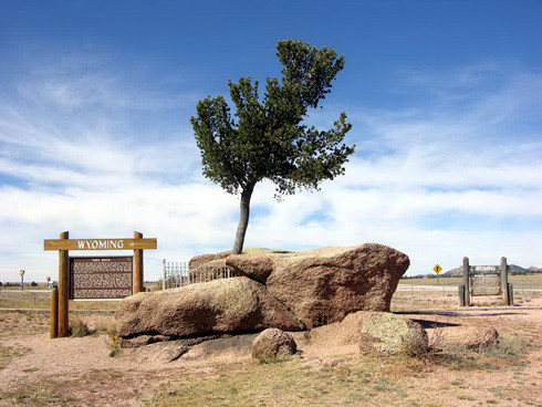 Gần Buford cũng là một điểm du lịch “cây mọc trên đá”, đã thu hút khách du lịch đến đây từ năm 1867, nghĩa là 1 năm sau thị trấn Buford hình thành (1866). Gần Buford cũng là một điểm du lịch “cây mọc trên đá”, đã thu hút khách du lịch đến đây từ năm 1867, nghĩa là 1 năm sau thị trấn Buford hình thành (1866).
