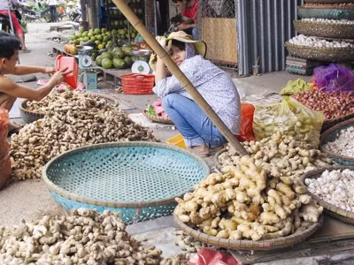 Gừng Trung Quốc củ to, vàng thẫm, bóng bày bán tại chợ đầu mối Đền Lừ (Hà Nội). Ảnh: Phạm Anh.