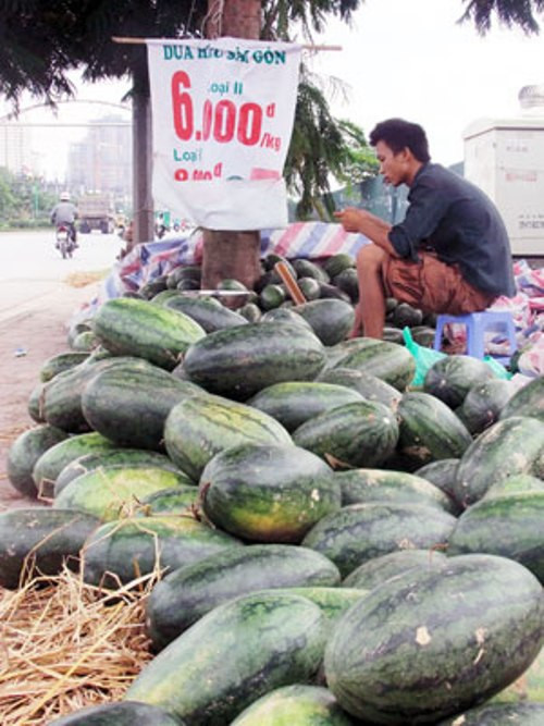Dưa bán đầy các ngả đường với giá chỉ 6.000-8.000 đồng/kg, còn thu mua tại ruộng chỉ 1.000 đồng/kg. Dưa bán đầy các ngả đường với giá chỉ 6.000-8.000 đồng/kg, còn thu mua tại ruộng chỉ 1.000 đồng/kg.