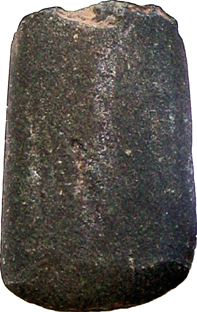 Những người được chôn cùng những chiếc rìu đá được tiếp cận với đất đai tốt hơn những người không có.