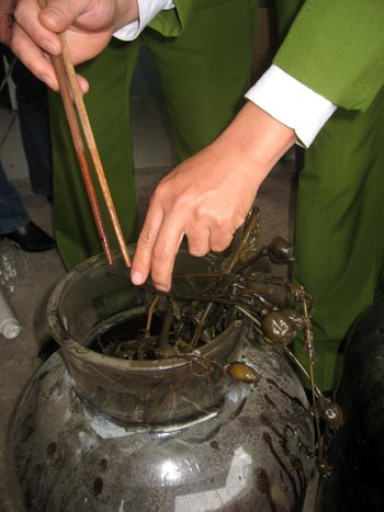 Cảnh sát phát hiện cây thuốc phiện trong bình rượu. Ảnh: Hà Anh/VNE Cảnh sát phát hiện cây thuốc phiện trong bình rượu. Ảnh: Hà Anh/VNE