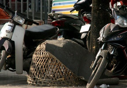 Trên vỉa hè nhiều tuyến phố của Hà Nội thỉnh thoảng xuất hiện những chiếc lồng nuôi gà. Nó biến những mặt phố vốn không lấy gì làm đẹp đẽ của Hà Nội trở nên nhếch nhác, bẩn thỉu. Trên vỉa hè nhiều tuyến phố của Hà Nội thỉnh thoảng xuất hiện những chiếc lồng nuôi gà. Nó biến những mặt phố vốn không lấy gì làm đẹp đẽ của Hà Nội trở nên nhếch nhác, bẩn thỉu.