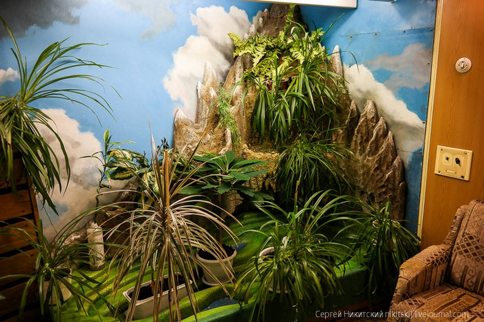 Cây cối, giả sơn tại một góc thư giãn trên tàu Yamal